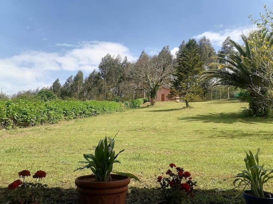 La Casa Azul De Lua Un Lugar Magico Villa Juncedo Dış mekan fotoğraf