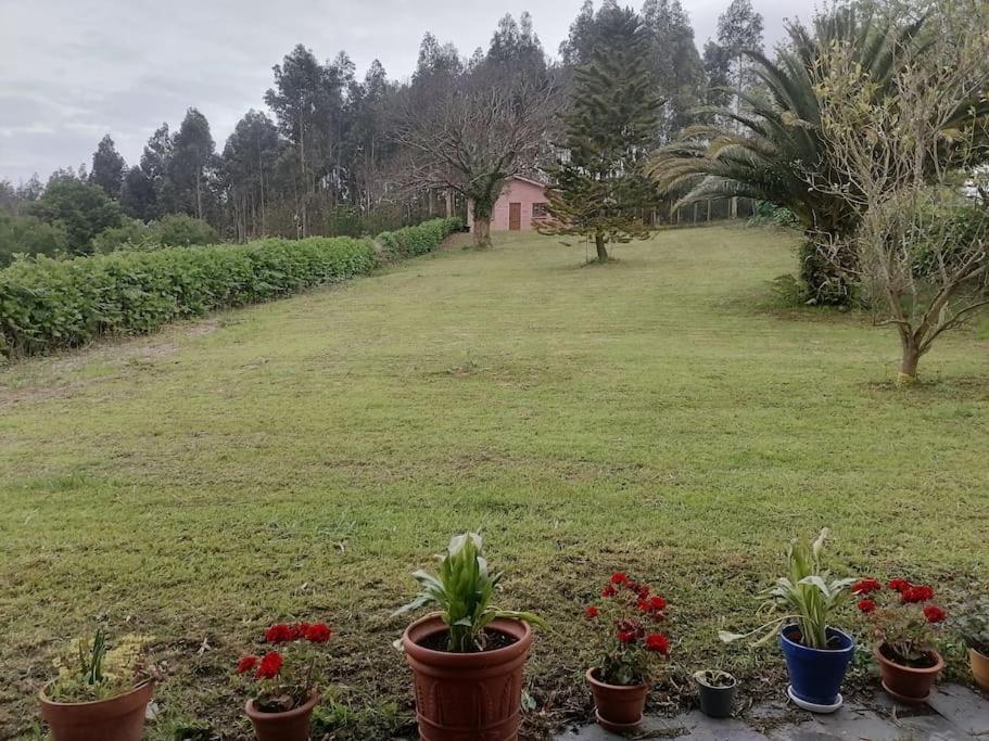 La Casa Azul De Lua Un Lugar Magico Villa Juncedo Dış mekan fotoğraf