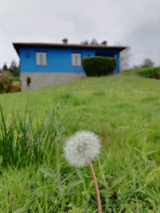 La Casa Azul De Lua Un Lugar Magico Villa Juncedo Dış mekan fotoğraf